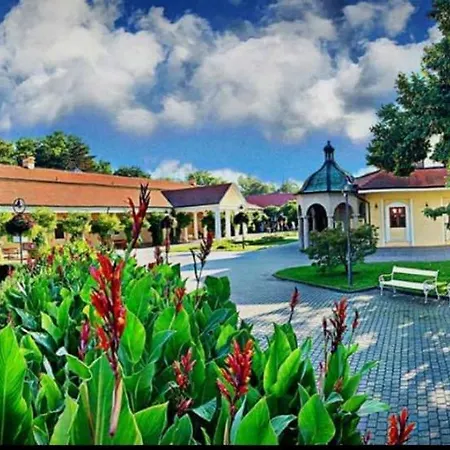 365 Centro&jacuzzi Piest'any